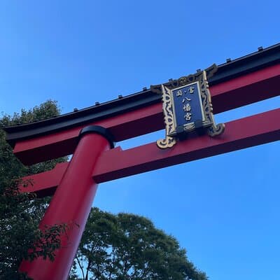 Tokyo: Taste the downtown echo and enjoy Japanese culture 5