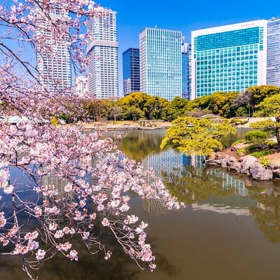 Hama-rikyu Gardens Walking Tour with Matcha& Japanese Sweets