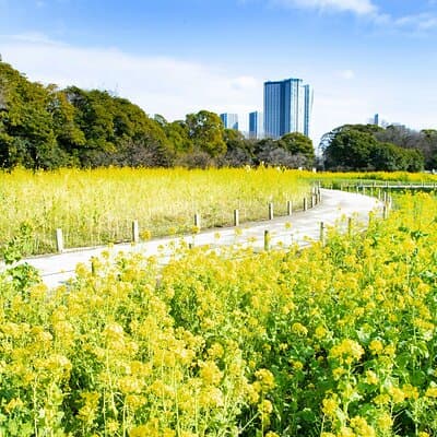 Hama-rikyu Gardens Walking Tour with Matcha& Japanese Sweets 5