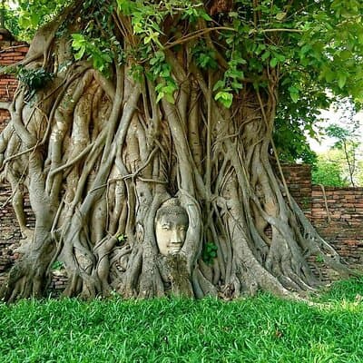 2 Day Guided Tour from Bangkok to Ayutthaya 2