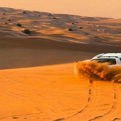 Desert Safari with Camel Riding and BBQ Dinner 4