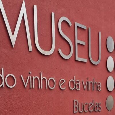 Lisbon Region Wine Tour: Mafra & Ericeira + Hotel Pick-Up 4