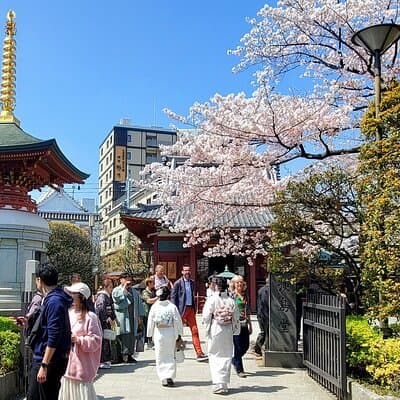 Tokyo Customizable Highlight Tour With A Licensed Private Guide 2