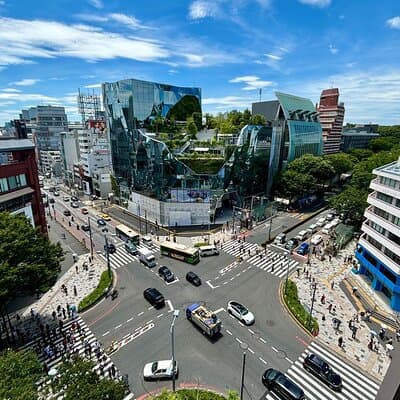 Private Curated Tour | Hidden Gems & Must Sees in Tokyo 5