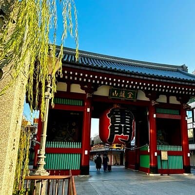 Private Curated Tour | Historical Tokyo - Ueno, Asakusa, Emperor 3