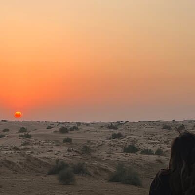 Dubai Evening Safari, Camels Ride & BBQ Dinner 3