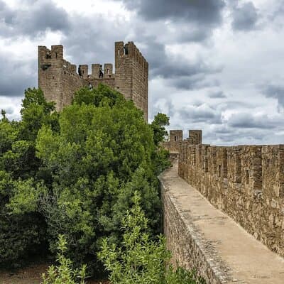 From Lisbon: Medieval Óbidos & Nazaré Coastal Charm Day Trip 5