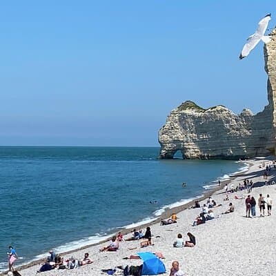 Normandy Honfleur, Etretat Cliffs Live Guided Private Trip