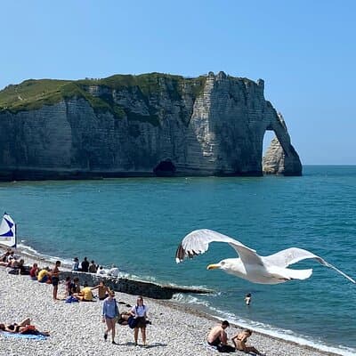 Normandy Honfleur, Etretat Cliffs Live Guided Private Trip 2