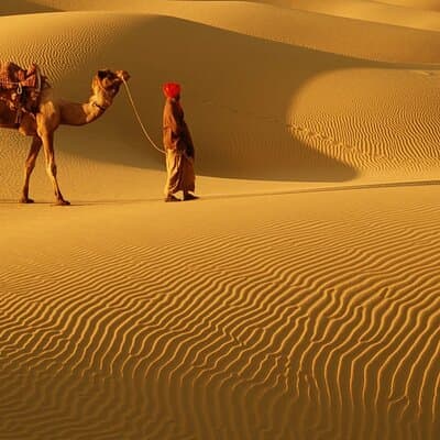 Dubai Afternoon 4Hrs Red Dunes Safari Private4x4Jeep Camel Sunset 3