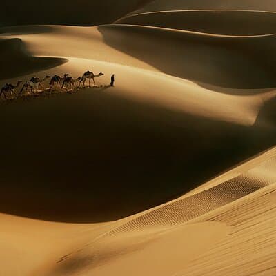 Dubai Afternoon 4Hrs Red Dunes Safari Private4x4Jeep Camel Sunset 5