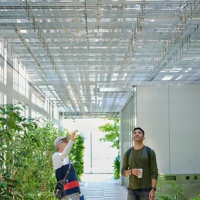 Small-Group Architecture Tour in Ginza, Tokyo