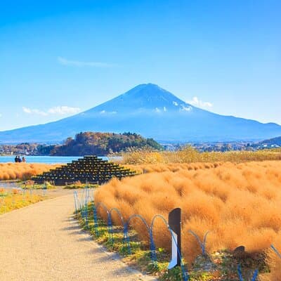Mt Fuji Pilgrimage Full Day Tour with 7 Must See Scenic Spots 3