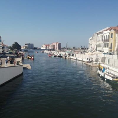 Private Transfer From Lisbon to Porto Full Day Tour 4