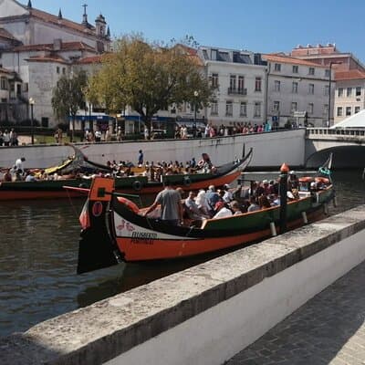 Private Transfer From Lisbon to Porto Full Day Tour 5