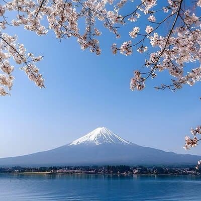 Mount Fuji Luxury Tour in Mercedes-Benz | Green Plate Car 2
