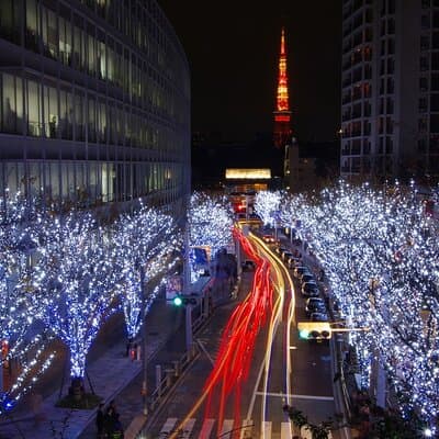 Walk Tokyo's Streets with Tokyo Midtown Tour