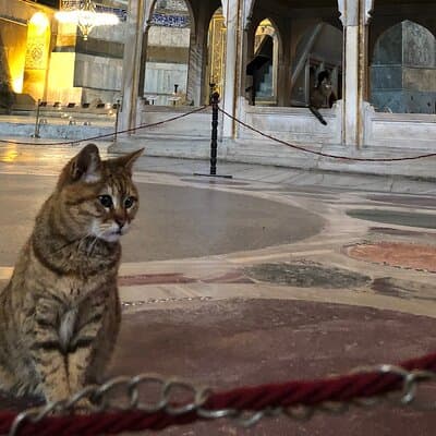 Guided Tour to Hagiasophia 2