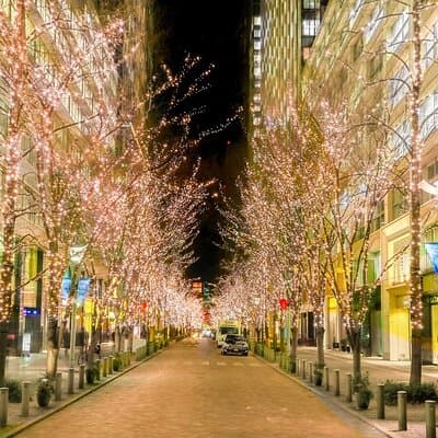 Holiday Lights Walk Tour Hibiya Midtown Tokyo Station Marunouchi 4
