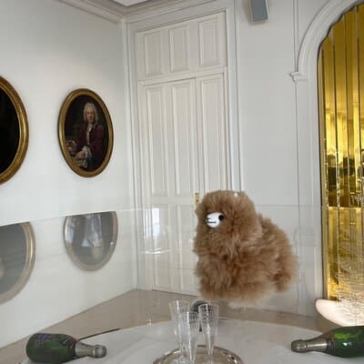 Luxury Dom Pérignon Champagne Tour with Brunch and Dinner