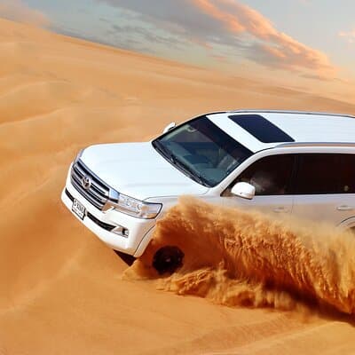 Best of Dubai: Desert Safari, Cruise, Bus Tour & Marina Dinner 4