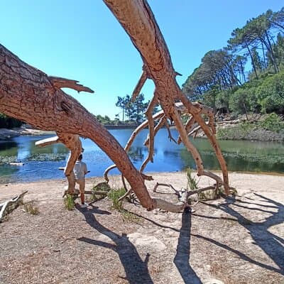 Sintra and Cascais and Hidden Places Experience 2