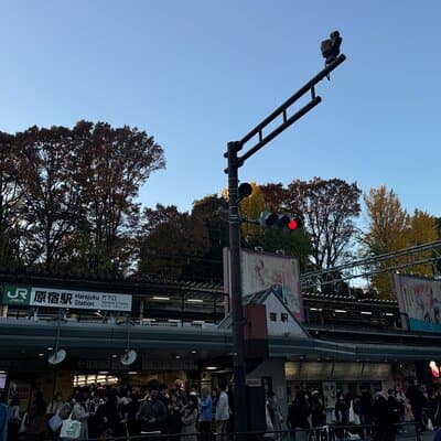 Shibuya and Harajuku Highlights Walking Tour 5