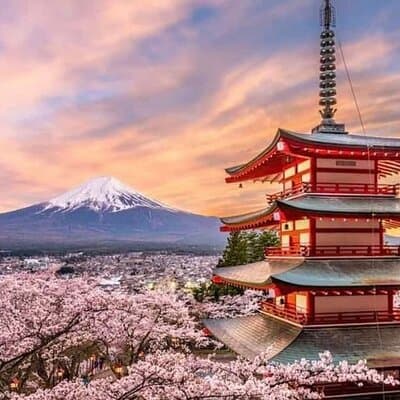 Fuji and Hakone Private Tour with English Guide and Photography