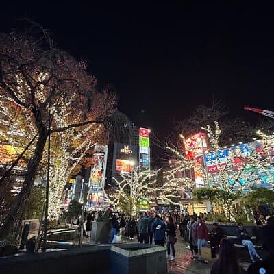 4 Hours Shibuya - Shinjuku Night Tour 5