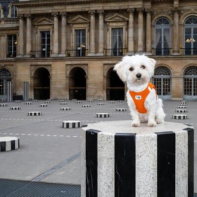Amazing Colonne de Buren Photoshoot 2
