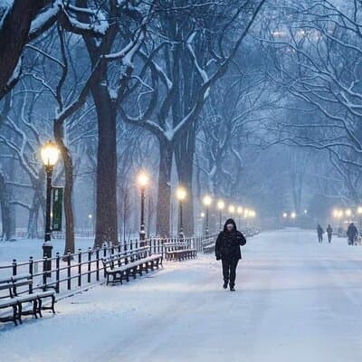 Guided Tour inside Central Park with Pedicab 5