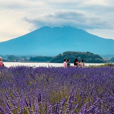 Fuji and Hakone Private Tour with English Guide and Photography 3