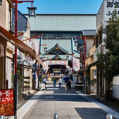 Tokyo: Taste the downtown echo and enjoy Japanese culture 2