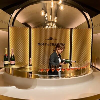 2-day Burgundy 4 Domains, Champagne Moet, Veuve Clicquot Private 2