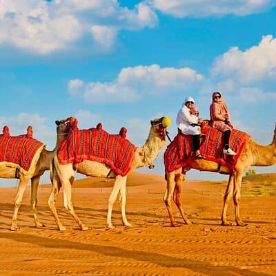 Evening: Desert Safari With Dinner 2