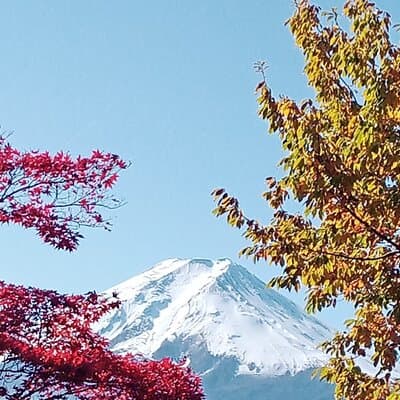 Muslim Friendly Mount Fuji Tour with English Speaking Chauffeur 2