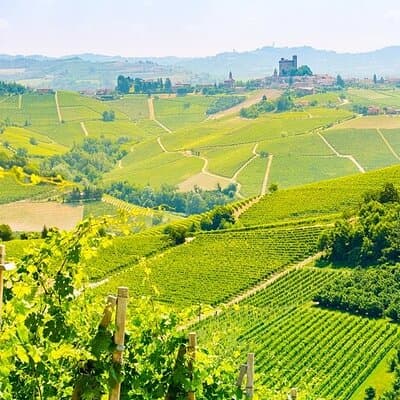Private Round Trip Transfer from Paris to Reims by Sedan or Van 2