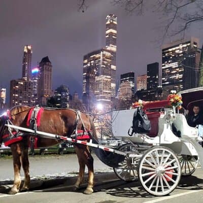 Official Private NYC CentralPark Horse Carriage Ride Since 1972 4