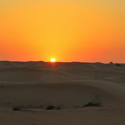 Private Dubai Day Tour: Multiple Options, Including Sharing 5