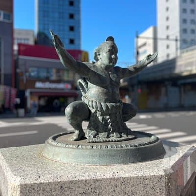 Tokyo: Know about Hokusai and Sumo culture in 2.5 hours