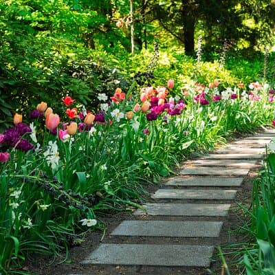 From Amsterdam - Private Keukenhof Garden Tour (Skip-the-line) 5