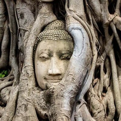 Day Tour of Ayutthaya and Bang Pa-In 2