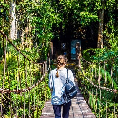 Khao Yai National Park Full Day Tour from Bangkok