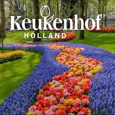 Keukenhof Luxury Private tour w. Canal Cruise & Tulip Experience 2