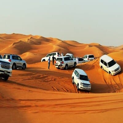 Evening: Desert Safari With Dinner 4