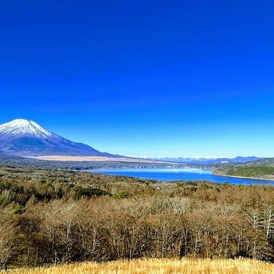 Private Mount Fuji Day Trip from Tokyo by Car