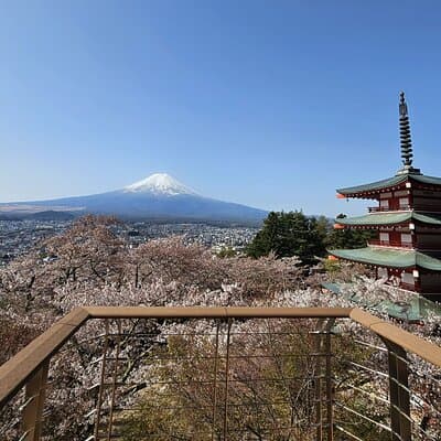 Private Mount Fuji Day Trip from Tokyo by Car 5