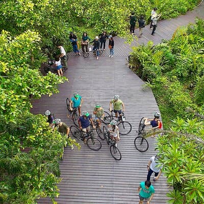Bangkok Green Oasis 4-Hour Bike Tour with Boat Ride 3