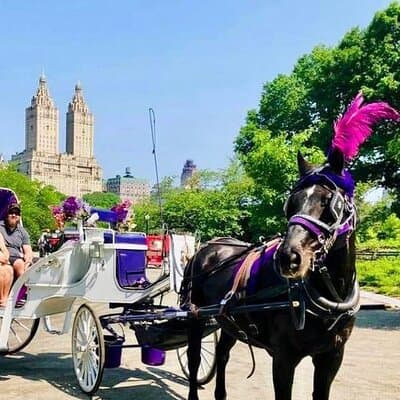CENTRAL PARK TOUR,Central park sightseeing tours.Flexible Tours