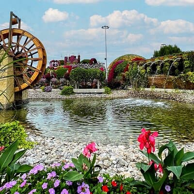 Dubai Miracle Garden Tickets with Round Trip Transfer 4